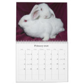 Los Angeles Rabbit Foundation - 2012 Kalender (Feb 2026)