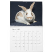 Los Angeles Rabbit Foundation 2013 Calendar Kalender (Mar 2026)