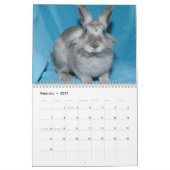 Los Angeles Rabbit Foundation 2013 Calendar Kalender (Feb 2027)