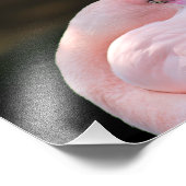 Los Angeles Zoo Foto Afdruk (Hoek)