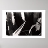Los Magueyes Poster (Voorkant)