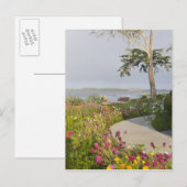 Los Osos en Baywood Park Briefkaart (Voorkant / Achterkant)