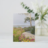 Los Osos en Baywood Park Briefkaart (Staand voorkant)