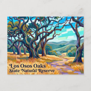 Los Osos Oaks State Natural Reserve Californië Briefkaart