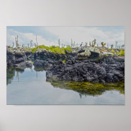 Los Tuneles, Galapagos, Ecuador Poster