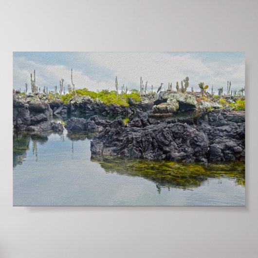 Los Tuneles, Galapagos-eilanden, Ecuador Poster (Voorkant)