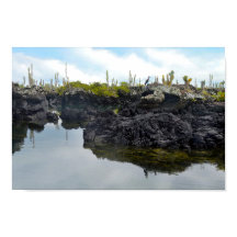 Los Tuneles in de Galapagos-eilanden