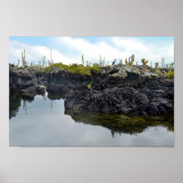 Los Tuneles op de Galapagos-eilanden Poster