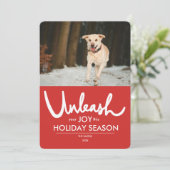 loslaten | Grappige hond foto vakantie Feestdagenkaart (Staand voorkant)