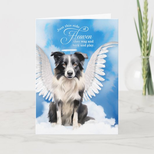 Loss of a Dog Border Collie Angel Pet Sympathy Kaart (Voorkant)