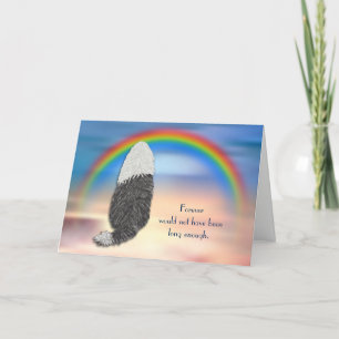 Loss of Bearded Collie Dog Rainbow Sympathy Card Feestdagen Kaart