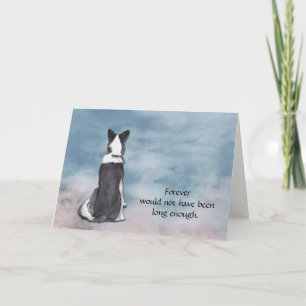 Loss of Border Collie Condolence Sympathy Card Feestdagen Kaart