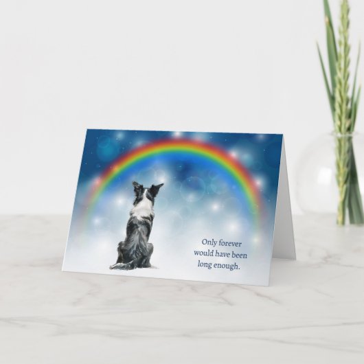 Loss of Border Collie Dog Night Lights Sympathy Feestdagen Kaart (Voorkant)