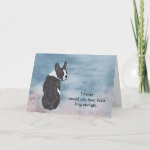 Loss of Boston Terrier Condolence Sympathy Card Feestdagen Kaart