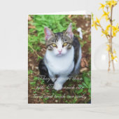 Loss of Cat Kaart (Gele Bloem)