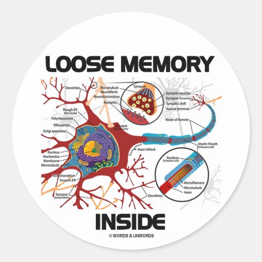 Losse geheugen binnenin (Neuron/Synapse) Ronde Sticker (Voorkant)
