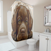 Losse labrador Shower Curtain