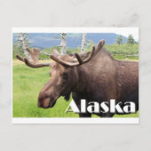 Losse nabij Anchorage, Alaska, Verenigde Staten (o Briefkaart (Voorkant)