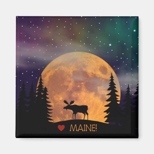 Losse op de los magneet (Voorkant)