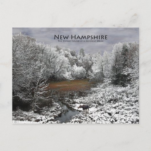 Losse op Snowy Oxbow: New Hampshire Briefkaart (Voorkant)