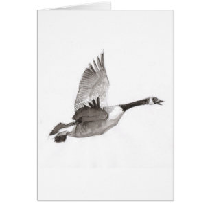 Losse vluchttekening