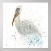 Losse Waterverf pelikaan Poster (Voorkant)