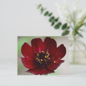 Lossig gekleurd chocolade kosmos briefkaart (Staand voorkant)