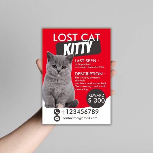 Lost Cat Flyer Sjabloon – Vermist Huisdier
