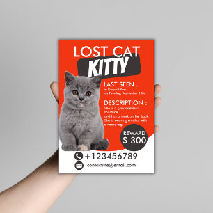 Lost Cat Flyer Sjabloon – Vermist Huisdier