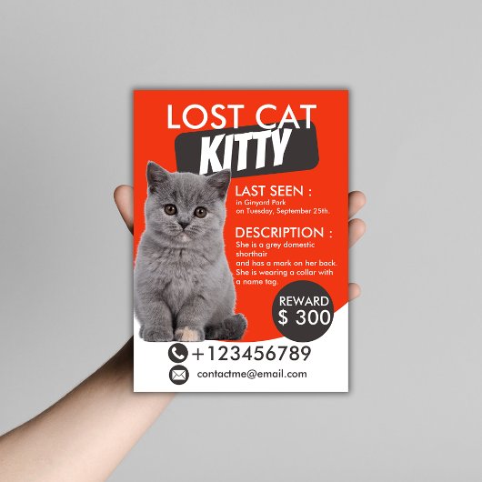 Lost Cat Flyer Sjabloon – Vermist Huisdier