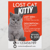 Lost Cat Flyer Sjabloon – Vermist Huisdier (Voorkant)