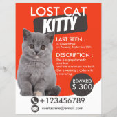Lost Cat Flyer Sjabloon – Vermist Huisdier (Achterkant)