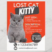 Lost Cat Flyer Sjabloon – Vermist Huisdier (Voorkant)
