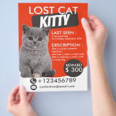 Lost Cat Flyer Sjabloon – Vermist Huisdier (Hand)