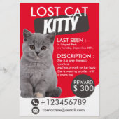 Lost Cat Flyer Sjabloon – Vermist Huisdier (Achterkant)