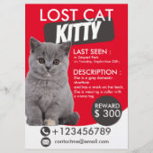Lost Cat Flyer Sjabloon – Vermist Huisdier (Voorkant)