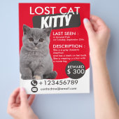 Lost Cat Flyer Sjabloon – Vermist Huisdier (Hand)