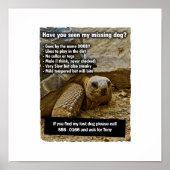 Lost Dog DOOBY Poster (Voorkant)