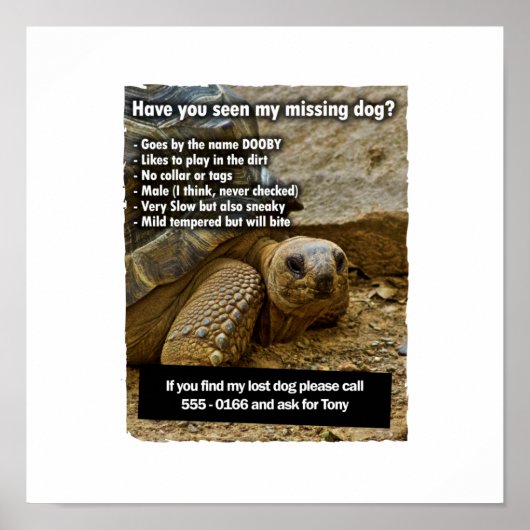 Lost Dog DOOBY Poster (Voorkant)