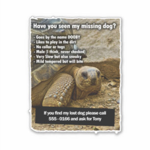 Lost Dog DOOBY Sticker