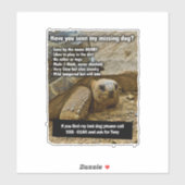 Lost Dog DOOBY Sticker (Vel)