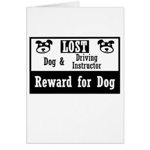 Lost Dog Driving Instructor