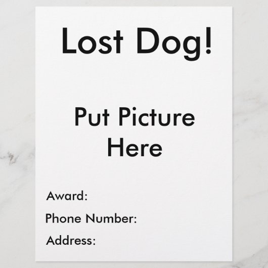 Lost Dog Flyer (Voorkant)