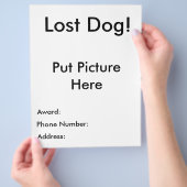 Lost Dog Flyer (Hand)