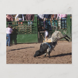 Lost Dutchman Bull Riding Briefkaart