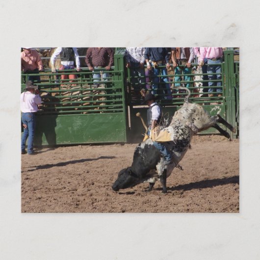 Lost Dutchman Bull Riding Briefkaart (Voorkant)