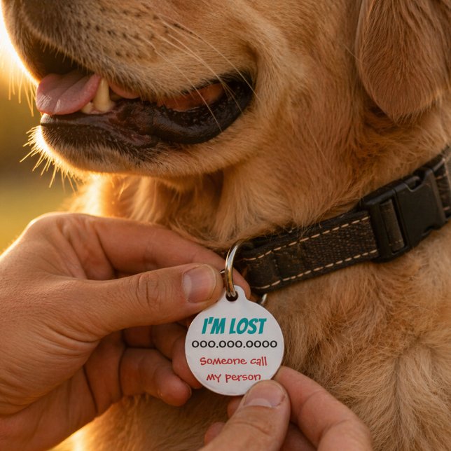 Lost Found Return Pet Huisdierpenning (Lost Dog Identification Tag. Help your dog find their home. Address, name, phone number. )