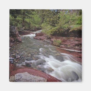 Lost Horse Creek in Nationaal Park Waterton Lakes Magneet