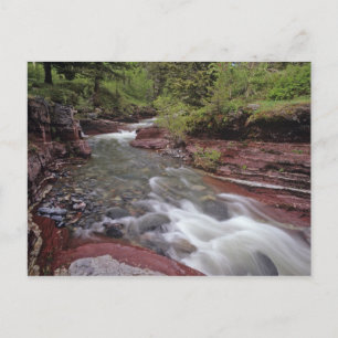 Lost Horse Creek in Waterton Lakes National Park Briefkaart