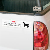 Lost Husband en Silver Lab. Beloning! Bumpersticker (Op Truck)